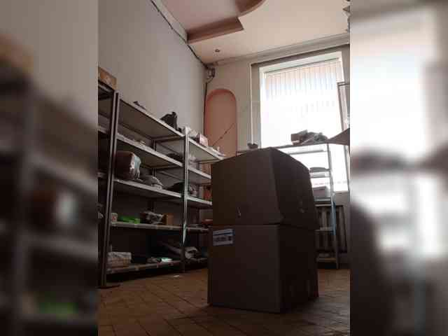 DarinaX webcam