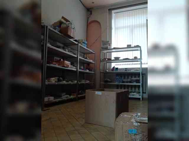 DarinaX webcam