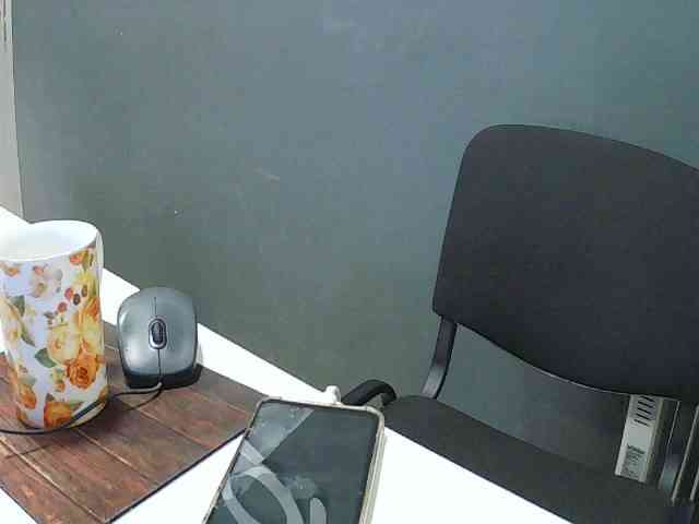 DarinaX webcam
