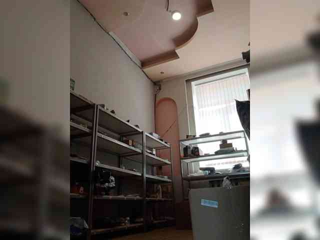 DarinaX webcam