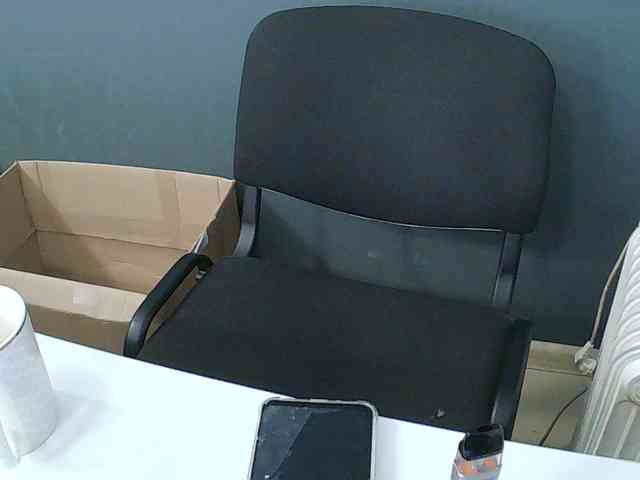 DarinaX webcam