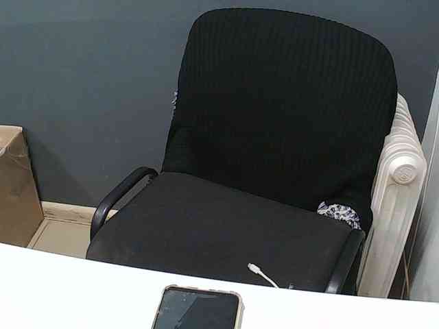 DarinaX webcam