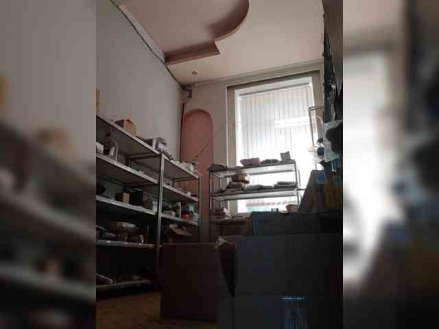 DarinaX webcam