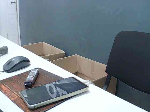 DarinaX webcam
