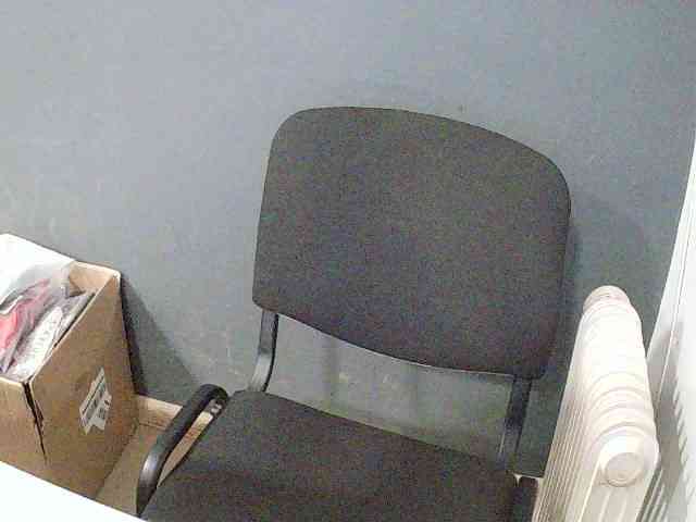 DarinaX webcam