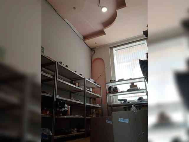 DarinaX webcam