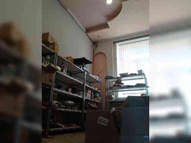 DarinaX webcam