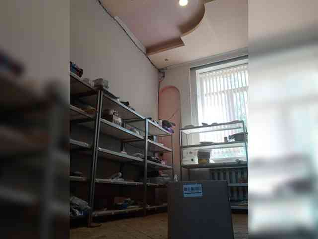 DarinaX webcam