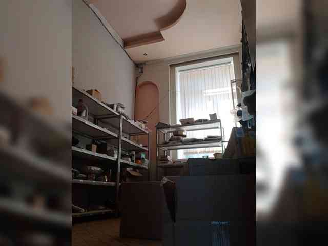 DarinaX webcam