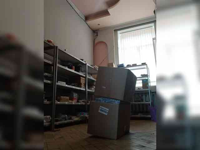 DarinaX webcam
