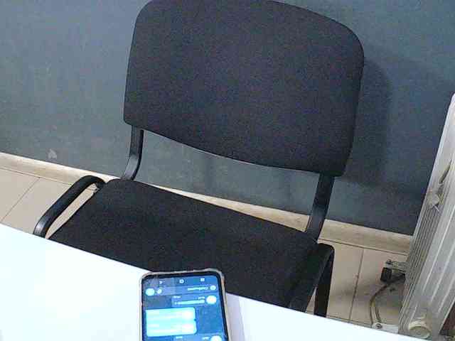 DarinaX webcam