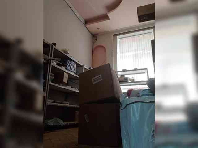 DarinaX webcam