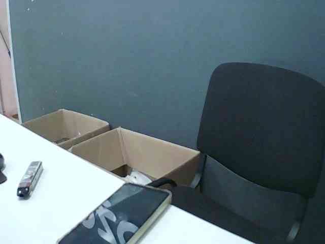 DarinaX webcam