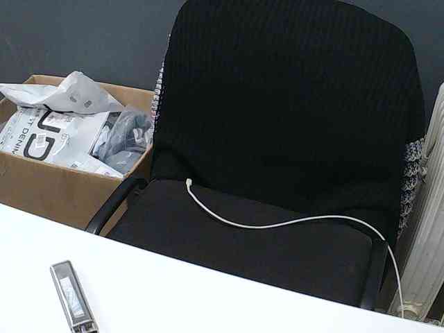 DarinaX webcam