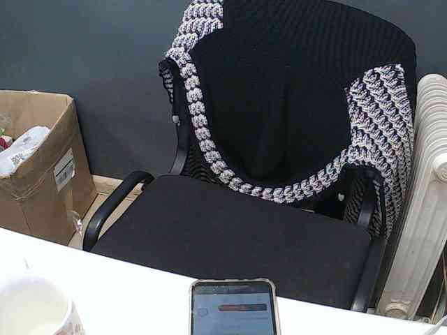 DarinaX webcam