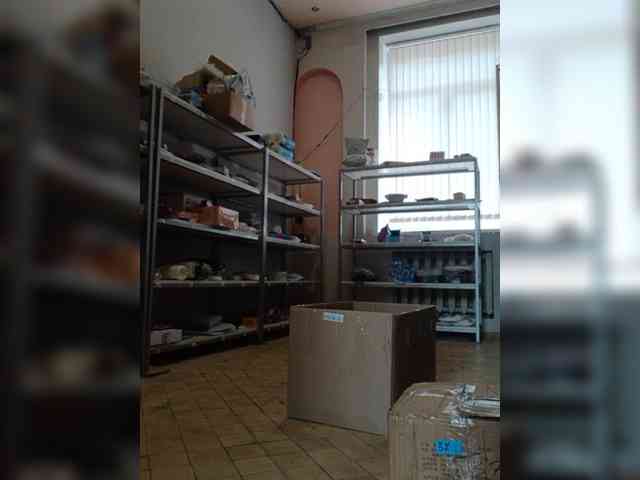 DarinaX webcam