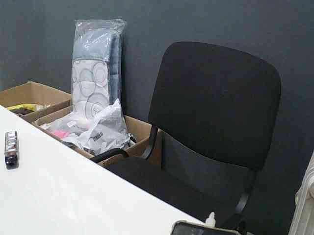 DarinaX webcam