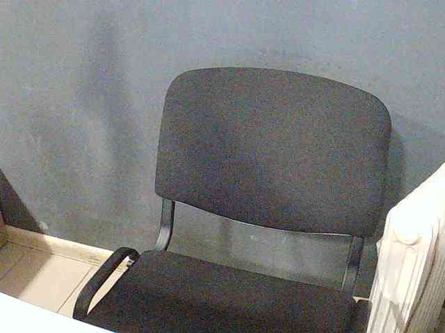 DarinaX webcam