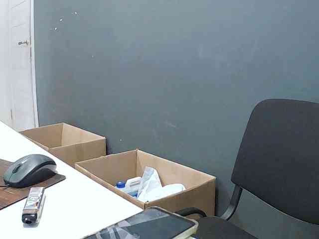 DarinaX webcam