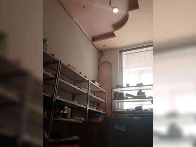 DarinaX webcam