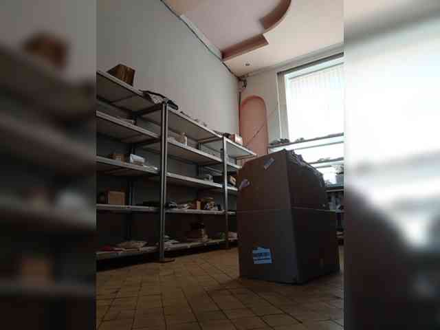 DarinaX webcam