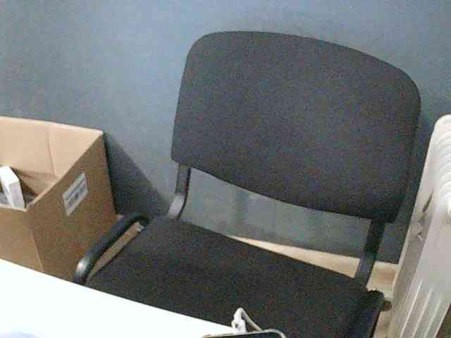 DarinaX webcam