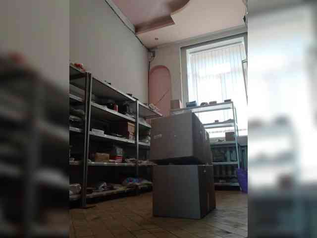 DarinaX webcam