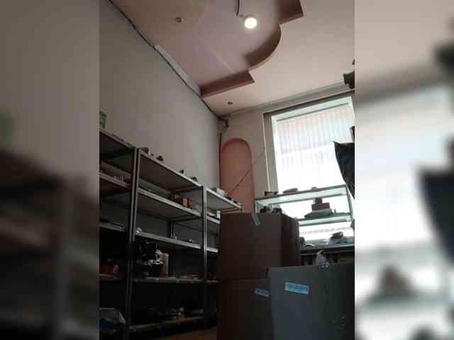 DarinaX webcam