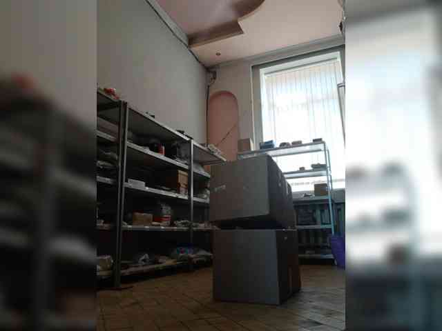 DarinaX webcam