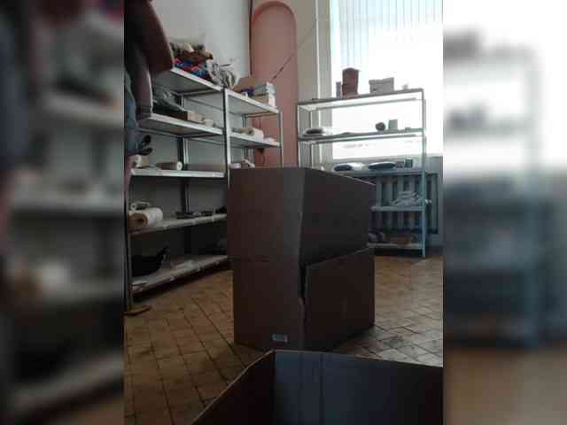 DarinaX webcam