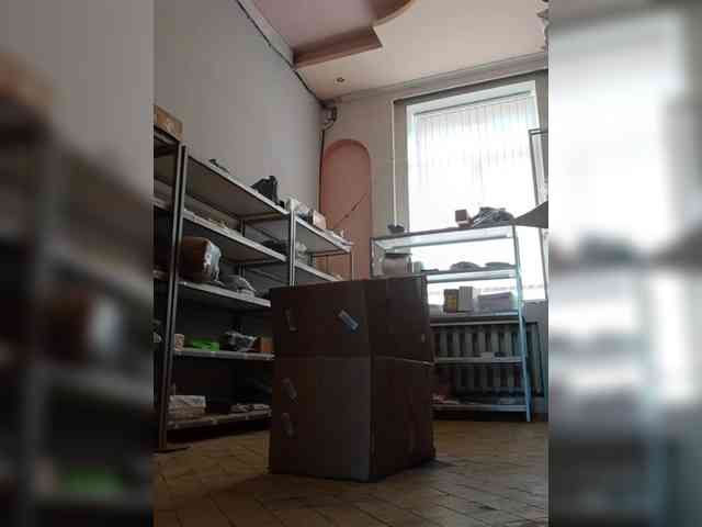 DarinaX webcam