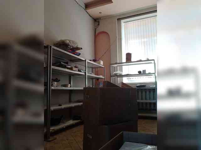 DarinaX webcam
