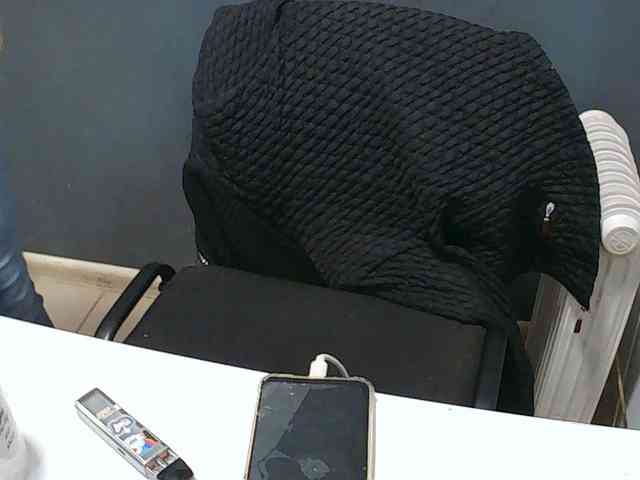DarinaX webcam