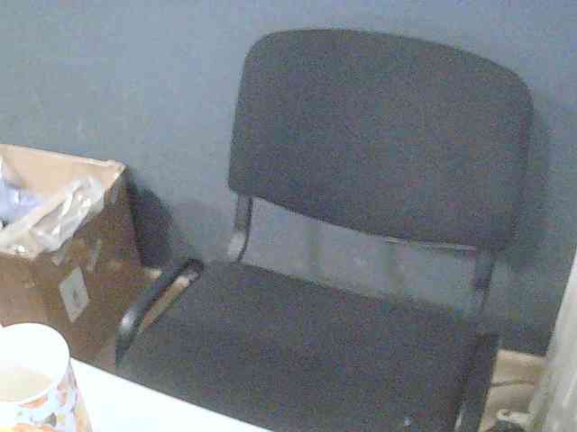 DarinaX webcam