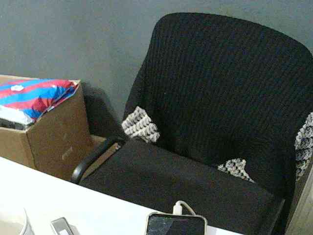DarinaX webcam