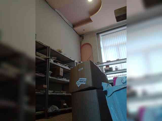 DarinaX webcam