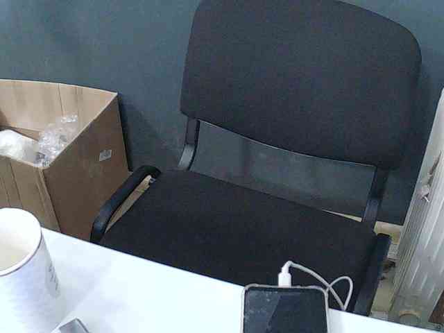 DarinaX webcam