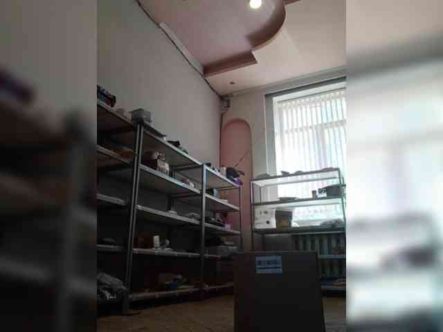 DarinaX webcam