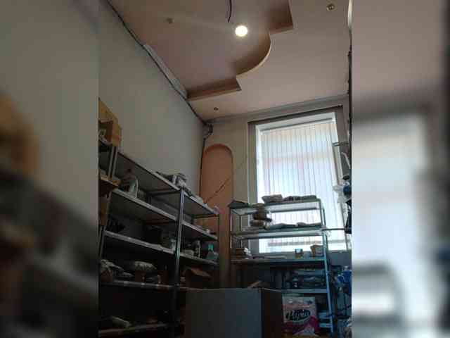 DarinaX webcam