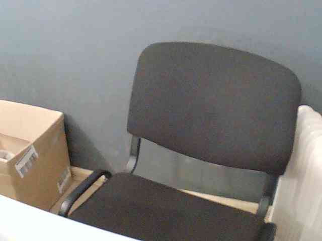 DarinaX webcam