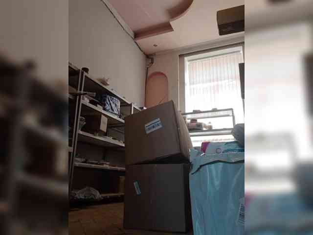 DarinaX webcam