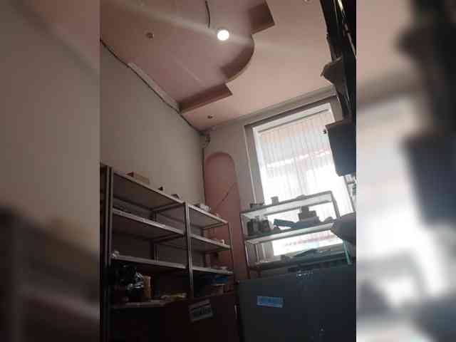 DarinaX webcam