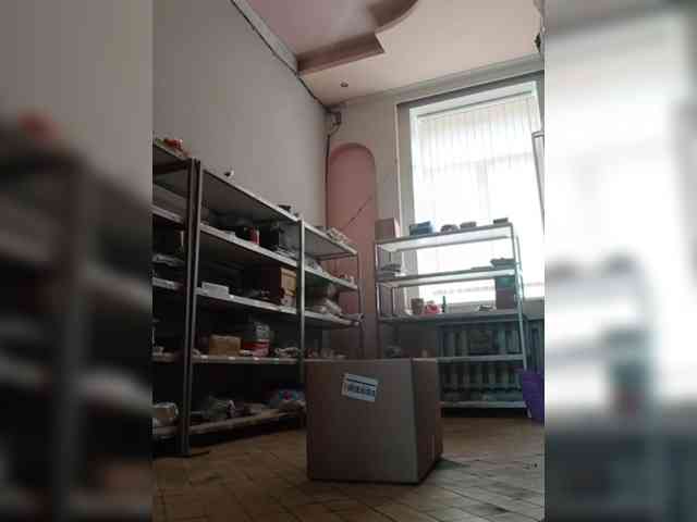 DarinaX webcam
