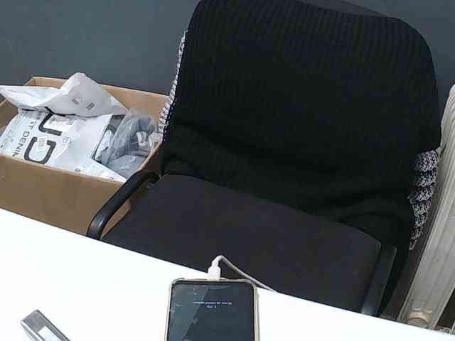 DarinaX webcam