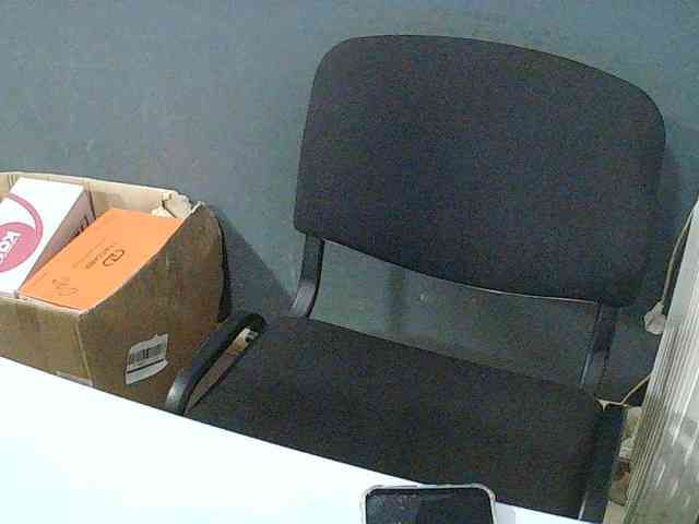 DarinaX webcam