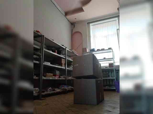 DarinaX webcam