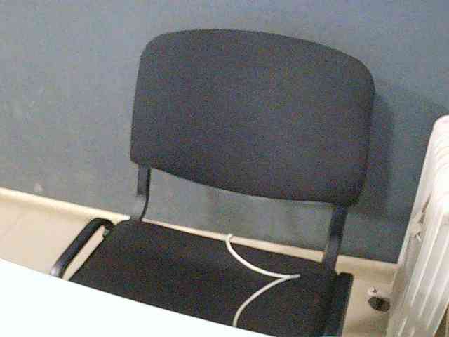 DarinaX webcam