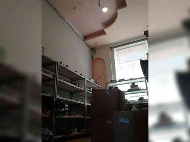 DarinaX webcam