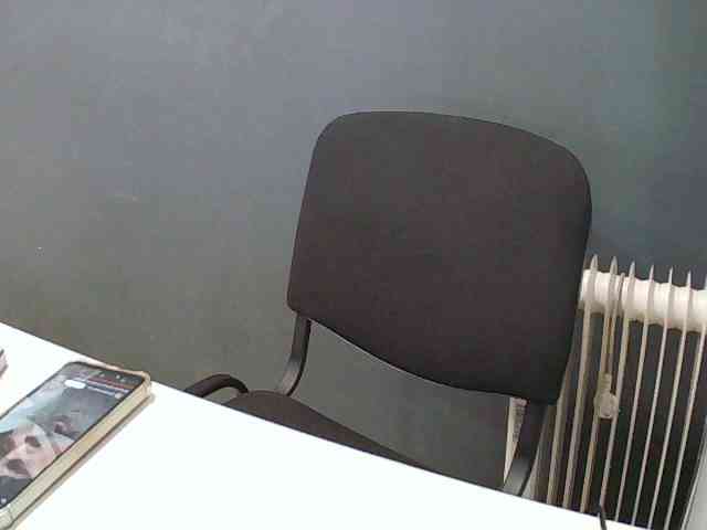 DarinaX webcam
