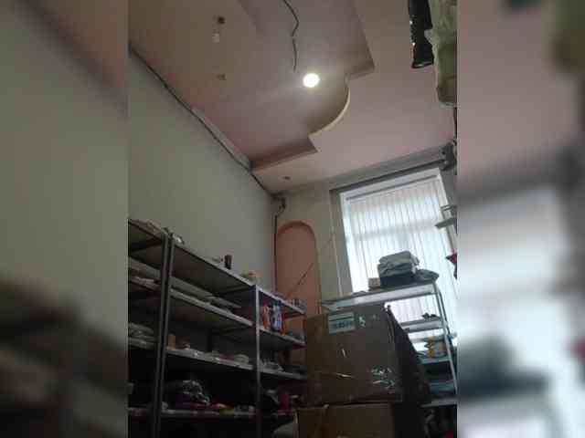 DarinaX webcam